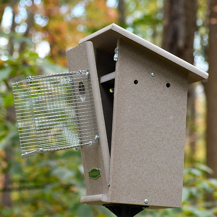 Duncraft Bird-Safe® Weathered Bluebird House & Pole with Noel Guard, featuring a predator guard door, mounted on a pole in a wooded area.