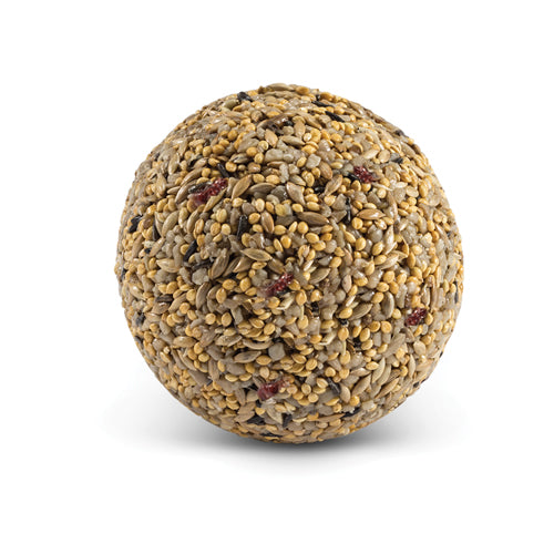 Duncraft Fancy Finch & Cranberry Wild Bird Seed Balls, compact round bird seed balls for feeders, attract various birds, available in sets of 12 or 24.