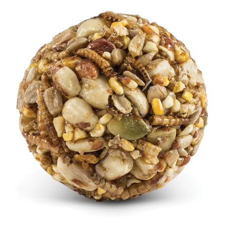 Duncraft Nuts & Bugs Wild Bird Seed Balls, a close-up of compact, nutritious seed snacks, ideal for attracting diverse birds, shown as a set of neatly arranged balls.