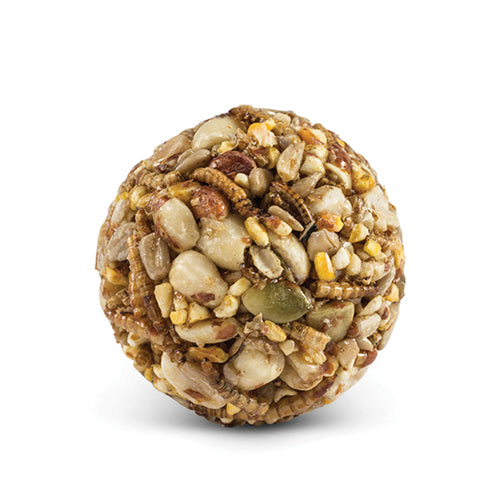 Duncraft Nuts & Bugs Wild Bird Seed Balls: Round seed balls featuring nuts, seeds, and insects, designed to attract various birds. Perfect for year-round bird feeding.