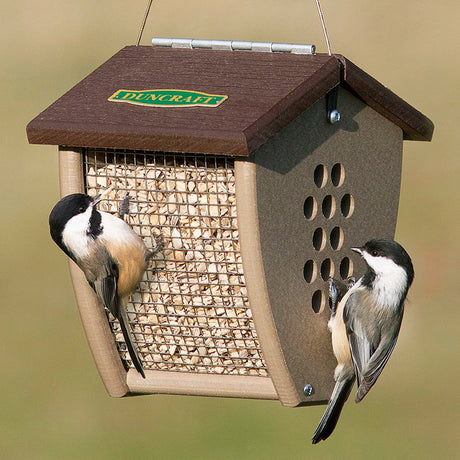 Duncraft Shield Sunflower & Nut Feeder showcasing birds enjoying seeds from the acorn-shaped feeder with smooth sides and multiple feeding holes.