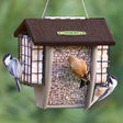 Duncraft Seed & Suet Combo Hopper featuring birds on an acorn-shaped feeder with stainless steel mesh and vinyl hanger, designed for suet cakes and seeds.