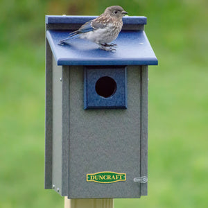 Duncraft Bluebird House Supreme: A bird perches on a sturdy bluebird house with predator guard and spacious interior, mounted on a flat surface.