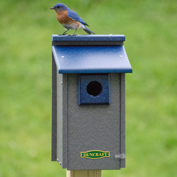 Duncraft Bluebird House Supreme with a bluebird perched on top, featuring a predator guard and spacious interior for safe nesting.