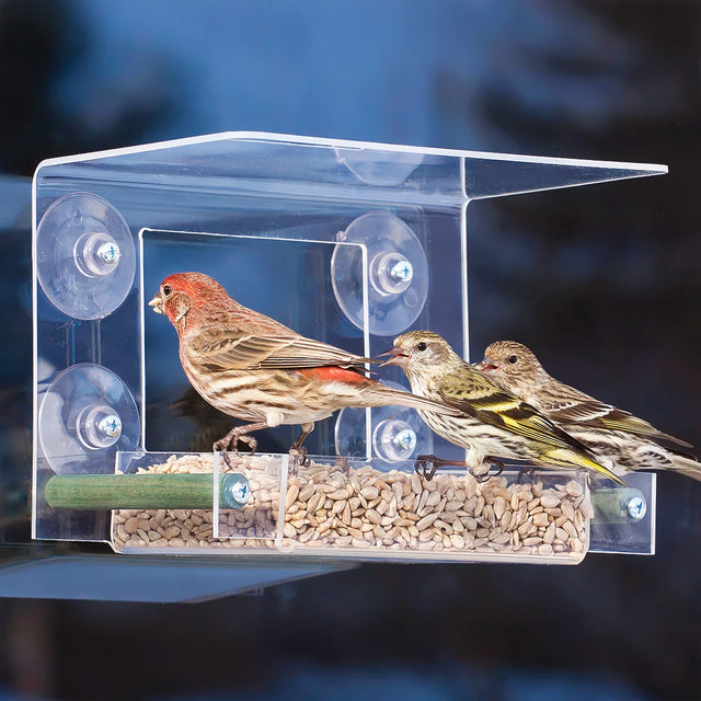 Duncraft Bird-Safe® Classic Window Feeder with four suction cups, a TV cutout for close birdwatching, and a 3/4 lb. seed tray.