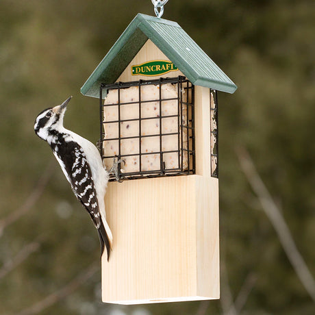 Duncraft Woodpecker Tail Support Suet Feeder with a black and white bird perched on it, featuring dual suet cages and an extended tail prop area.