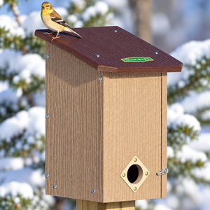 Duncraft Premium Eco-Strong Roost House with a sparrow perched on the wooden birdhouse, featuring a 1-1/2 inch entry hole and a ladder inside.