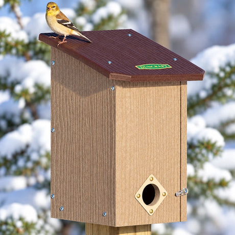 Duncraft Premium Eco-Strong Roost House with a sparrow perched on the wooden birdhouse, featuring a 1-1/2 inch entry hole and a ladder inside.