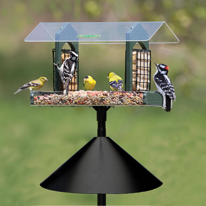 Duncraft Double Delight Squirrel-Proof Feeding Station | 72