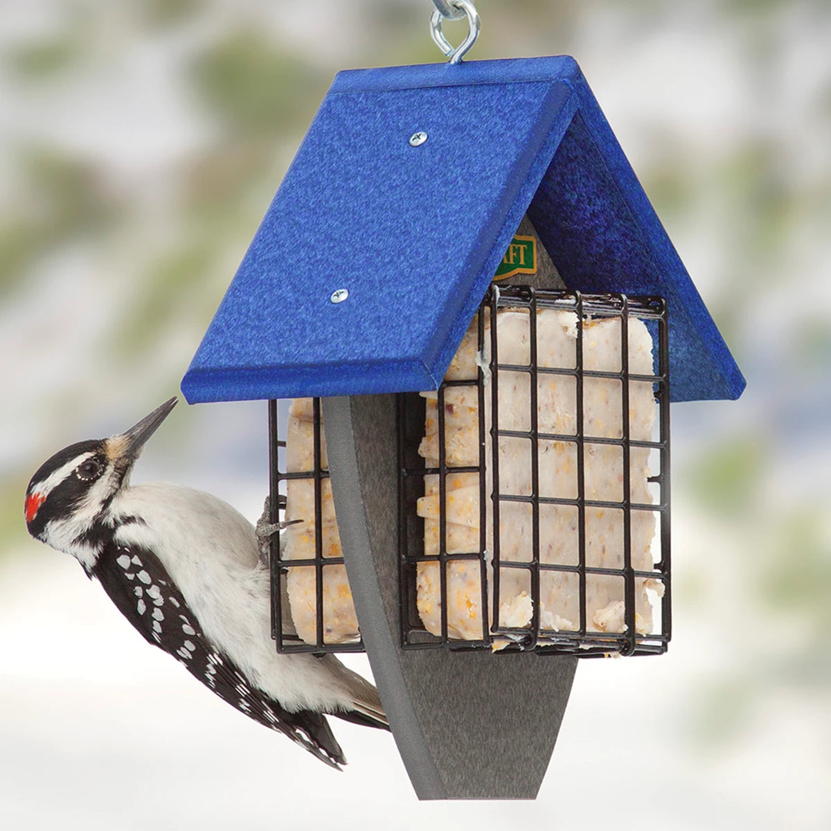 Double Sided Suet Tail Prop Feeder with a woodpecker eating from a blue-roofed, shield-shaped feeder holding two suet cakes, designed for easy cleaning and hanging.