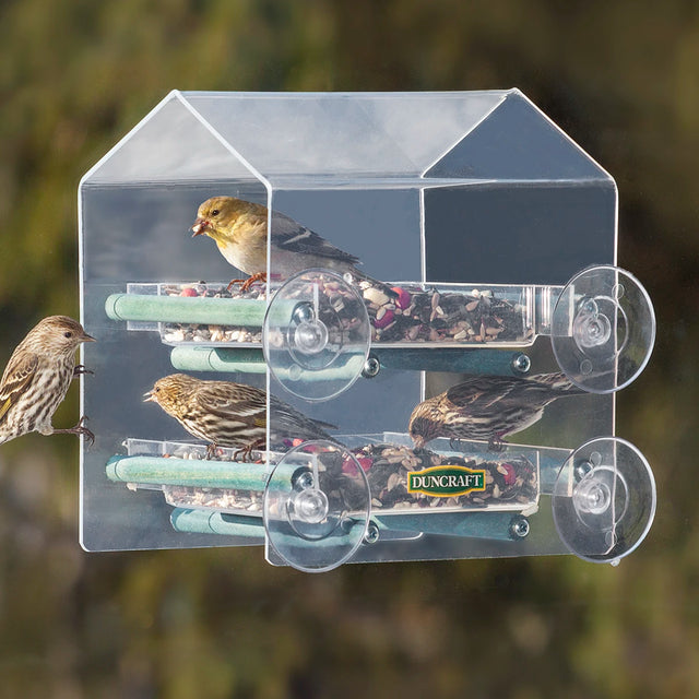 Duncraft Twin Removable Tray Window Feeder with birds feeding, featuring multi-tier design, suction cups, and easy-to-clean trays.