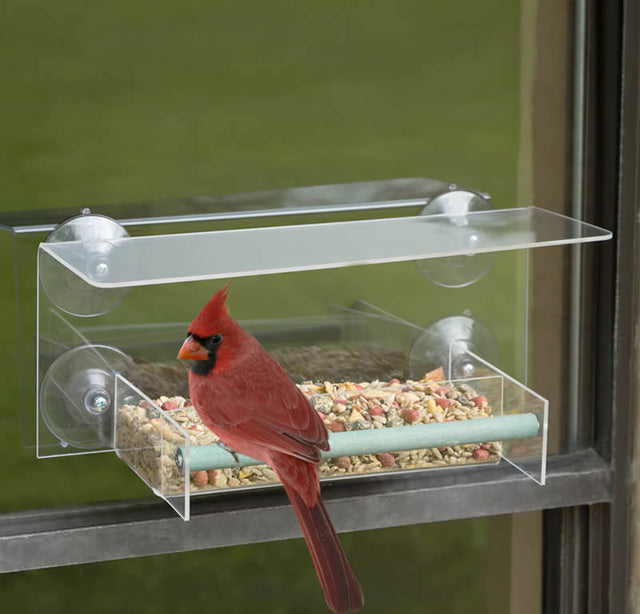 Duncraft Bird-Safe® Window Wonder Feeder with cardinal on perch, showcasing a unique branch holder. Clearview plastic allows easy seed level monitoring.