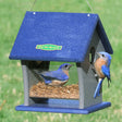 Duncraft Fly Right Inn Bluebird Feeder with clearview plastic basin and four 1-1/2 inch fly-through openings, built from durable recycled plastic, includes wire hanger.