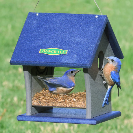 Duncraft Fly Right Inn Bluebird Feeder with clearview plastic basin and four 1-1/2 inch fly-through openings, built from durable recycled plastic, includes wire hanger.