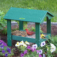 Duncraft Covered Ground Platform Feeder with mesh flooring, a vaulted cathedral ceiling, and a bird perched on it, designed for ground-feeding birds.