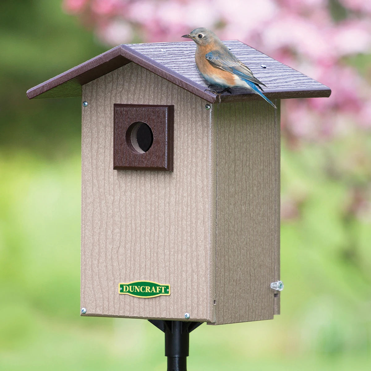 Duncraft Bird-Safe® Premium Observation Bluebird House & Pole featuring a bird perched on the birdhouse with a 1-1/2 inch entry hole and predator guard.