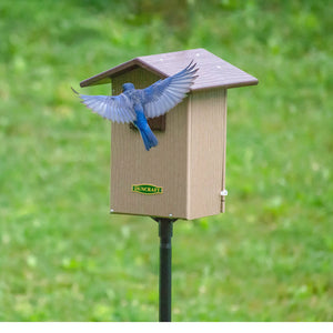 Duncraft Bird-Safe® Premium Observation Bluebird House & Pole showing a bluebird flying out, with viewing window, predator guard, and sectional mounting pole.