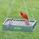 Duncraft EZ Clean Seed Maximizer Platform Feeder with birds feeding on a wire mesh guard system, designed to prevent seed waste and deter squirrels.