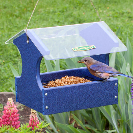 Duncraft Mealworm Maximizer Bluebird Feeder with two-grid wire mesh system, featuring a bird perched on the feeder, designed for efficient dried mealworm feeding and easy cleaning.