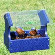 Duncraft Mealworm Maximizer Bluebird Feeder with two-grid wire mesh, bluebirds feeding on mealworms, and a clearview plastic roof for protection.