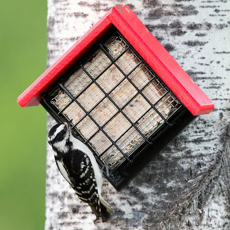 Duncraft Sheltered Suet Shield™ Blocker Tree Mount with red roof, holding suet cake, features woodpecker feeding, mounted on tree trunk with green foliage background.