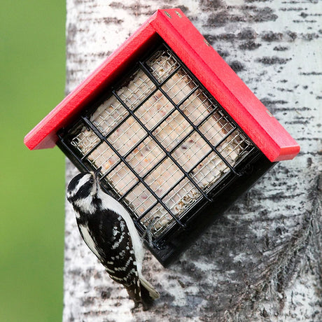 Duncraft Sheltered Suet Shield™ Blocker Tree Mount with red roof, holding suet cake, features woodpecker feeding, mounted on tree trunk with green foliage background.