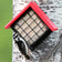 Duncraft Sheltered Suet Shield™ Blocker Tree Mount with red roof, holding suet cake, features woodpecker feeding, mounted on tree trunk with green foliage background.