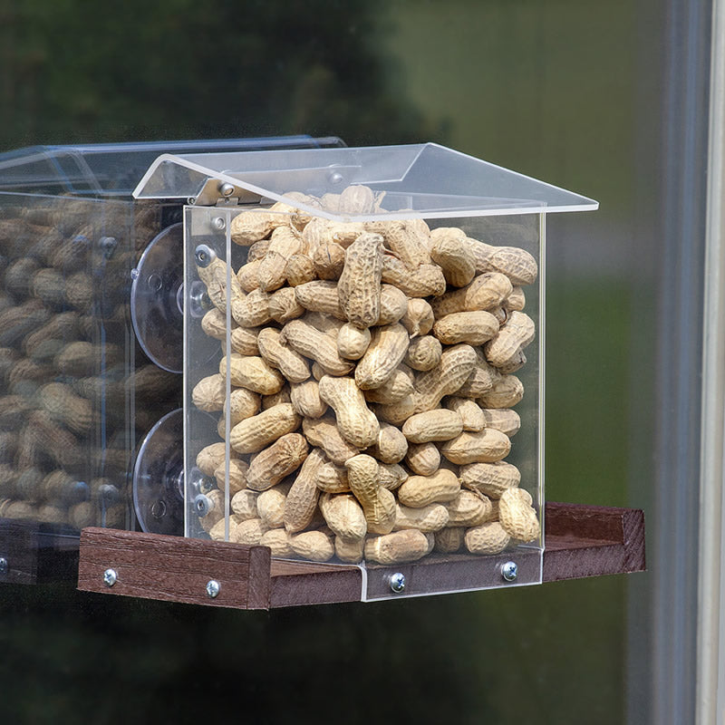 Pandora's Box Window Squirrel Feeder filled with peanuts, featuring a clearview design and perches for squirrels to access their snacks.