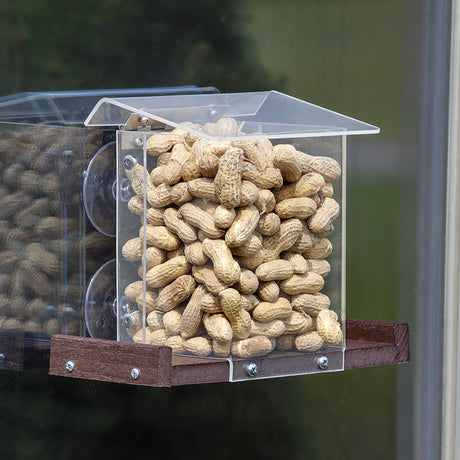 Pandora's Box Window Squirrel Feeder filled with peanuts, featuring a clearview design and perches for squirrels to access their snacks.