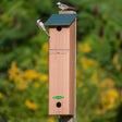 Duncraft Songbird House and Roosting Box with two birds perched on the birdhouse, featuring top nesting and bottom roosting compartments for year-round bird shelter.