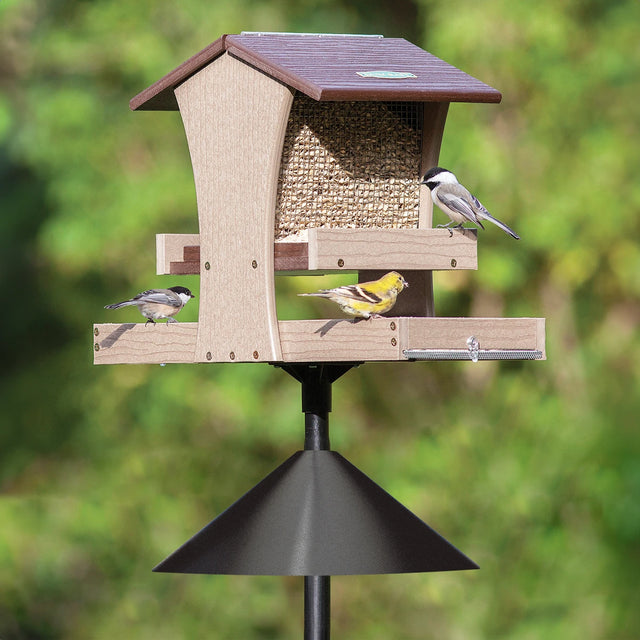 Duncraft Grandview Feeding Station with birds feeding on two seed trays and hopper, featuring fine wire mesh and 72-inch tall steel pole.