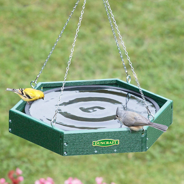 Duncraft Hanging Hexagon Bird Bath with green recycled plastic frame and black plastic dish, includes hanging chain and hook, perfect for birds to bathe and drink.