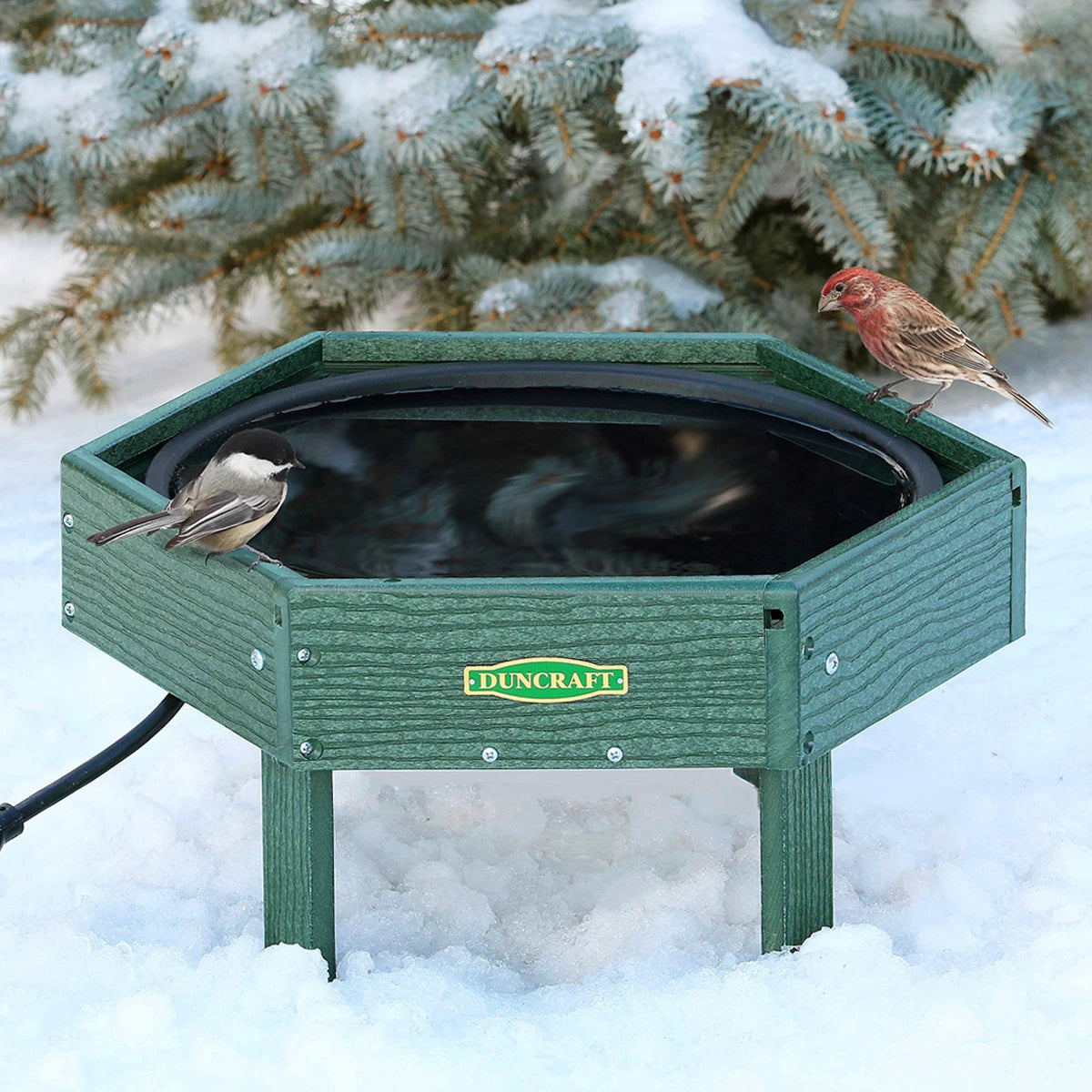 Duncraft Hexagon Heated Ground Birdbath in use, attracting birds in snowy winter conditions. Made of durable green recycled plastic with a black heated dish.