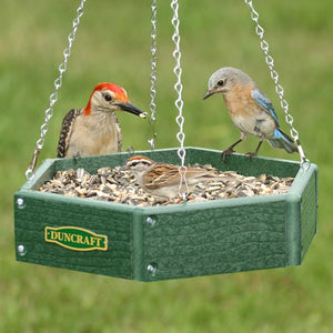 Duncraft Hexagon Hanging Bird Feeder with metal mesh drainage, green recycled plastic, and S-hook chain, featuring multiple birds feeding and perching on the platform.