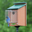 Duncraft Bluebird House with Pole & Noel Guard features a bluebird perched on a birdhouse, showcasing its predator-protective design and easy installation.