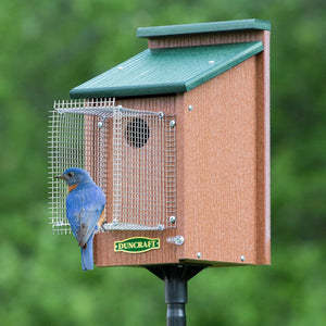 Duncraft Bluebird House with Pole & Noel Guard features a bluebird perched on a birdhouse, showcasing its predator-protective design and easy installation.