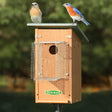 Duncraft Bird-Safe® Bluebird House & Pole with Noel Guard featuring two birds on a birdhouse, protecting bluebirds with a predator guard and easy-to-mount design.