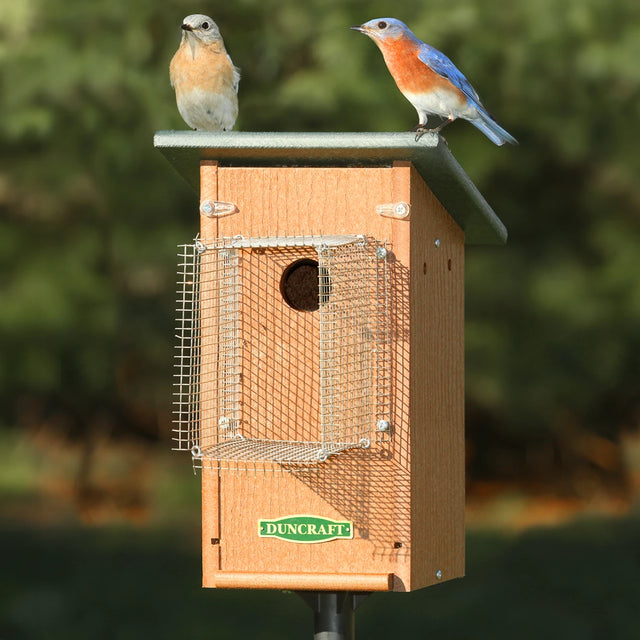 Duncraft Bird-Safe® Bluebird House & Pole with Noel Guard featuring two birds on a birdhouse, protecting bluebirds with a predator guard and easy-to-mount design.