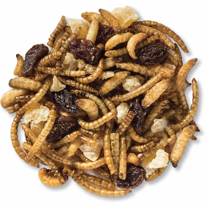 Duncraft Happy Bird Trail Mix Wild Bird Food featuring a mix of dried fruits, mealworms, waxworms, and peanut chips in a resealable 7-1/2 oz. bag.