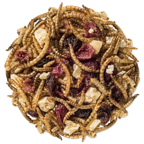 Duncraft Super Fruit & Nut Trail Mix Wild Bird Food, featuring a blend of dried mealworms, cranberries, peanut chips, apple pieces, and raisins in a resealable bag.