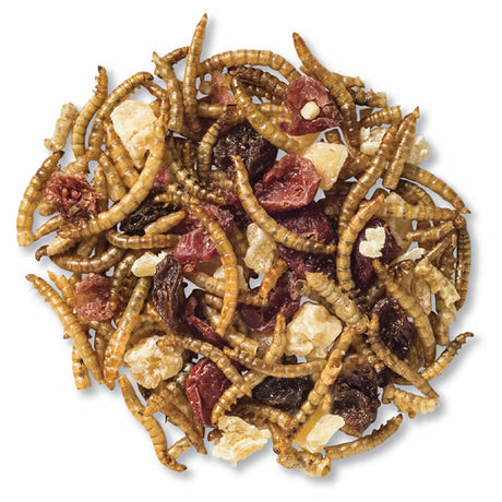 Duncraft Super Fruit & Nut Trail Mix Wild Bird Food: A pile of dried fruits and mealworms, perfect for feeding bluebirds and fruit-eating birds.