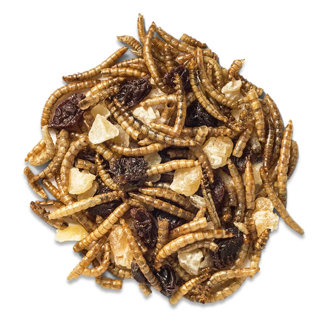 Duncraft Mealworm, Apple & Raisin Trail Mix Wild Bird Food, featuring a mix of dried mealworms, raisins, and apple pieces, perfect for attracting and feeding birds.