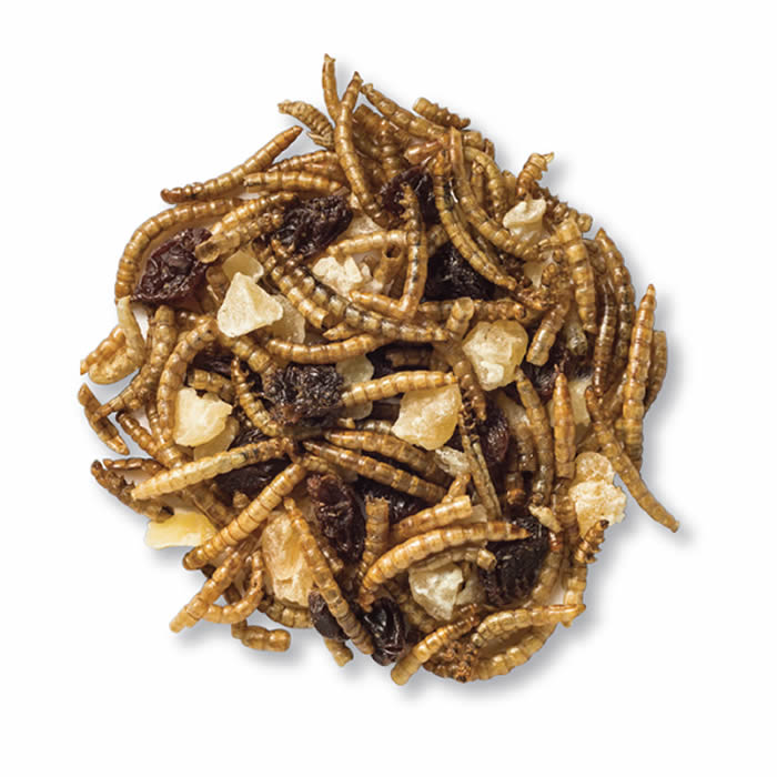 Duncraft Mealworm, Apple & Raisin Trail Mix Wild Bird Food, showcasing a close-up of a mix with dried mealworms, raisins, and apple pieces.