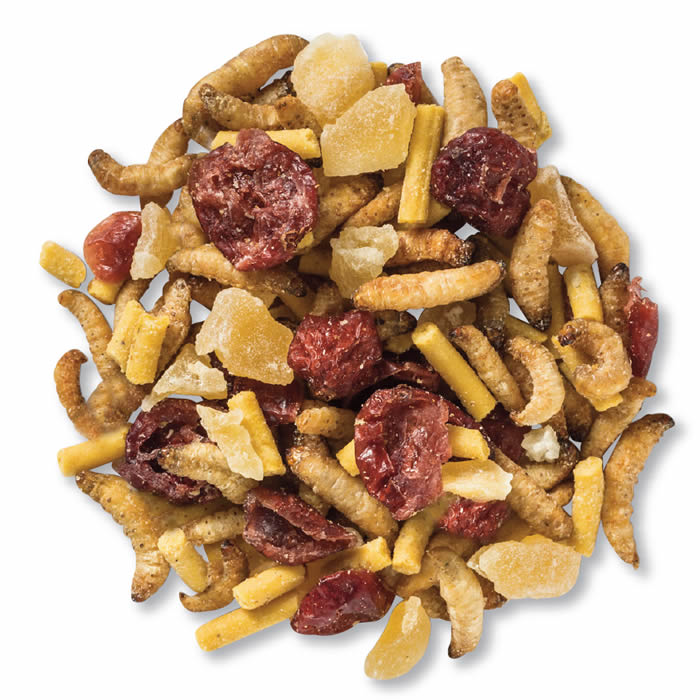 Duncraft Energizer Trail Mix Wild Bird Food, featuring a mix of roasted waxworms, apple pieces, cranberries, and insect suet pellets.