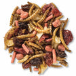 Duncraft Berry Delight Trail Mix Wild Bird Food features a mix of dried mealworms, fruits, and suet pellets, perfect for attracting bluebirds and fruit-eating birds.