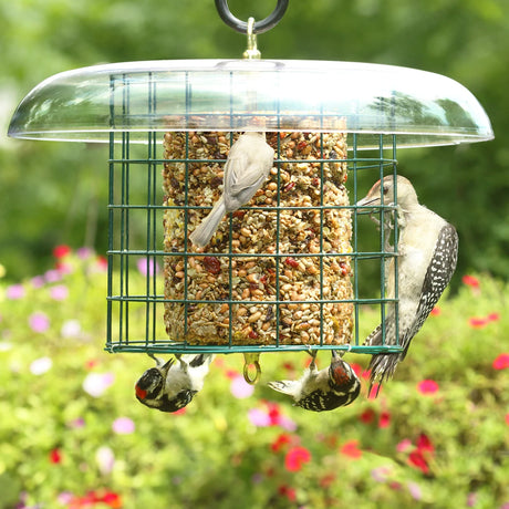 Duncraft Weather Log Haven bird feeder with protective fencing, a clear weather guard, and birds perched and feeding. Includes hanging eye hook.