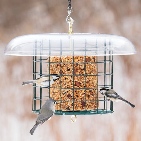 Duncraft Weather Log Haven bird feeder with metal fencing, weather guard, and hanging eye hook, showing birds eating from it.