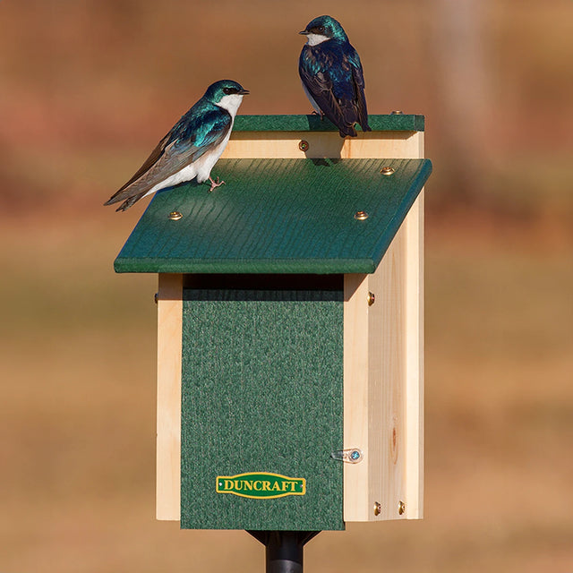 Duncraft Bird-Safe® Swallow Nest Box with two birds perched on the birdhouse, featuring a slotted entrance designed to attract Tree Swallows and deter House Sparrows.