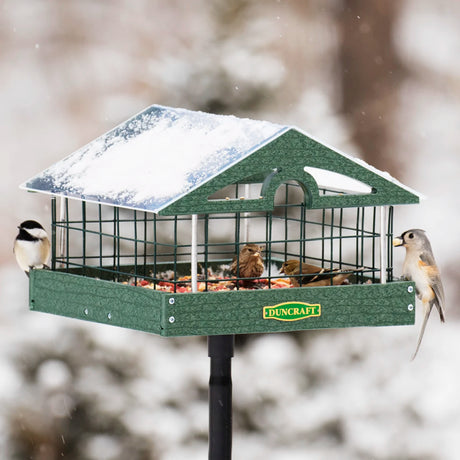 Duncraft Pavilion Haven Feeder, Pole Mount: Winter scene with birds on a bird feeder, featuring a clear roof, wire fencing, and a tall black steel pole.