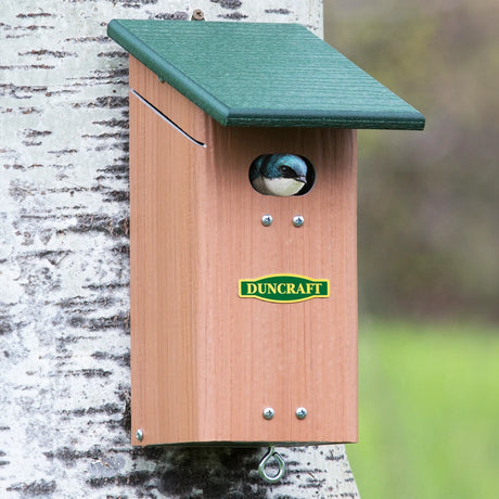 Duncraft Bird-Safe® Swallow House with oval entrance, shown with a bird inside, mounted on a tree. Durable, recycled plastic design for outdoor use.